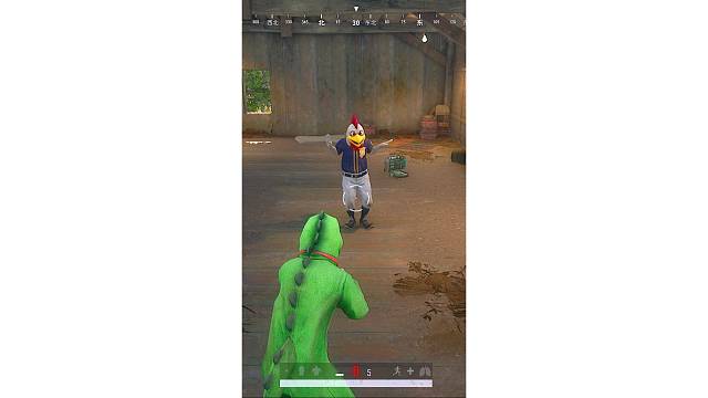 会跳舞的大公鸡