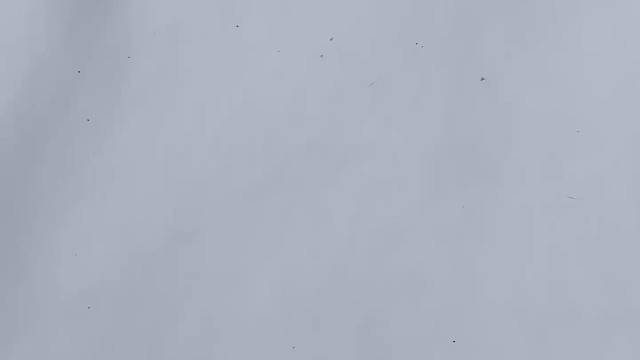 算了，和你们不下雪的说不清楚