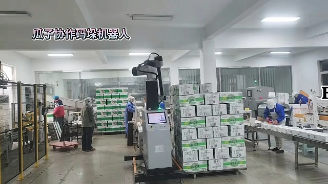 纸箱协作码垛机器人