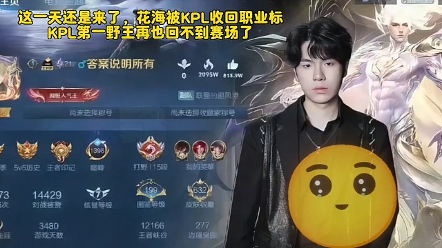 这一天还是来了，花海被KPL收回职业标
KPL第一野王再也回不到赛场了