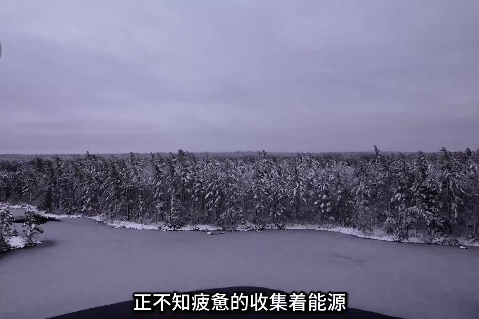 第2集：驾车雪地露营，搭建房车帐篷露营地，享受户外露营