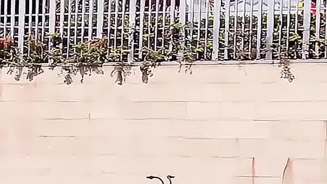 这是无人驾驶的