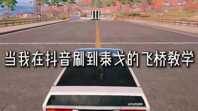 怎么我的泰戈不太一样