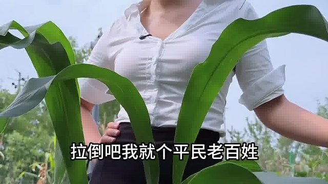 无可救药