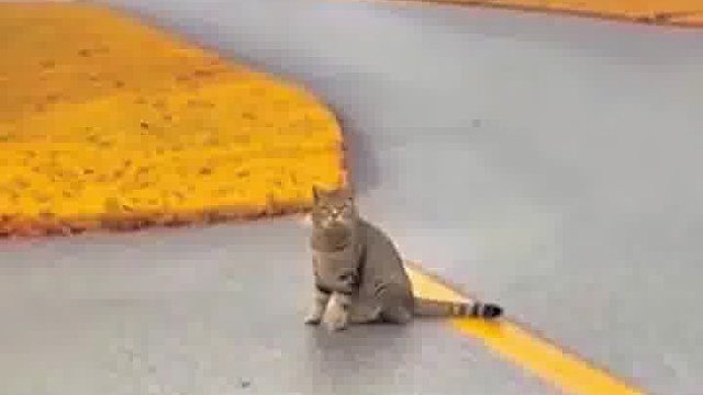 你真是种地不出苗