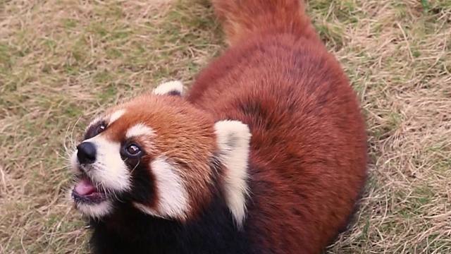 我想要，我得到