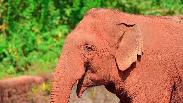 【海野好声音名场面】麦霸集结！嗓音绝了