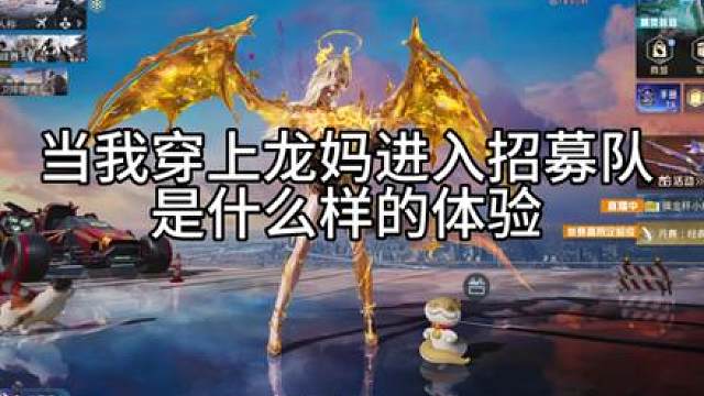 最好的“圣域龙灵”过年我必须要拥有它！