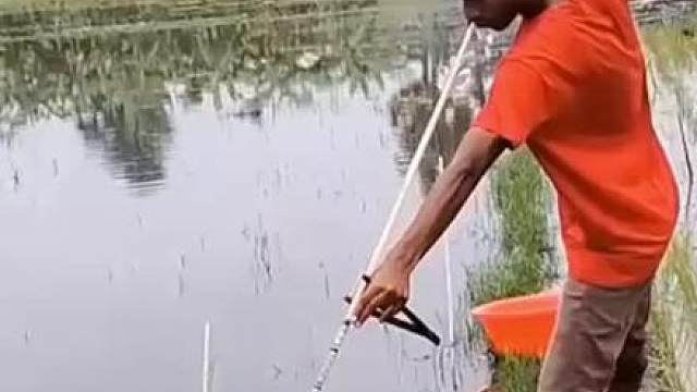 小哥通过改造弹弓，在池塘边捕获到大鱼