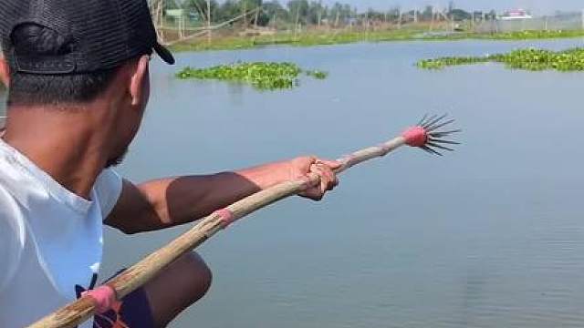 男子捕鱼实在是太厉害了，一叉下去竟然捕获了两条大鱼