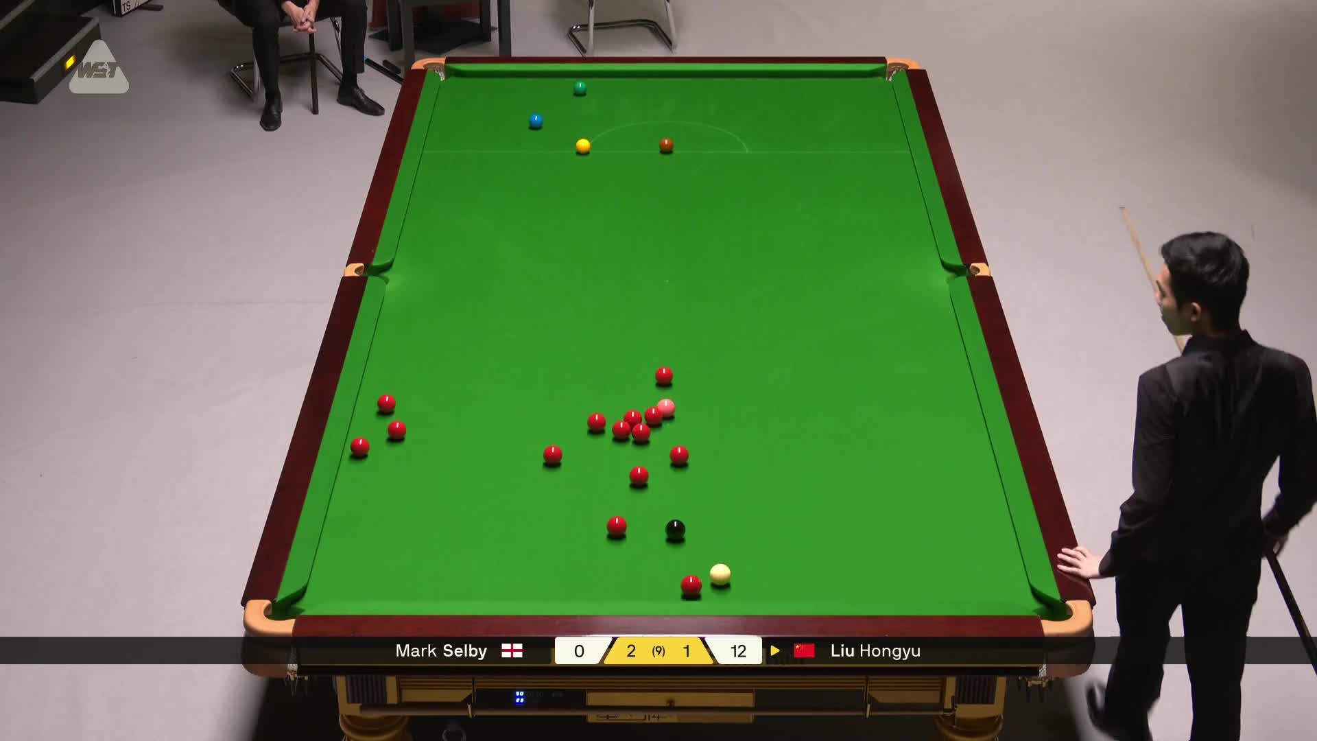 马克·塞尔比VS刘宏宇 2026斯诺克德国大师赛