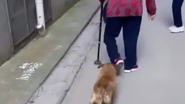 你说我打不打它吧