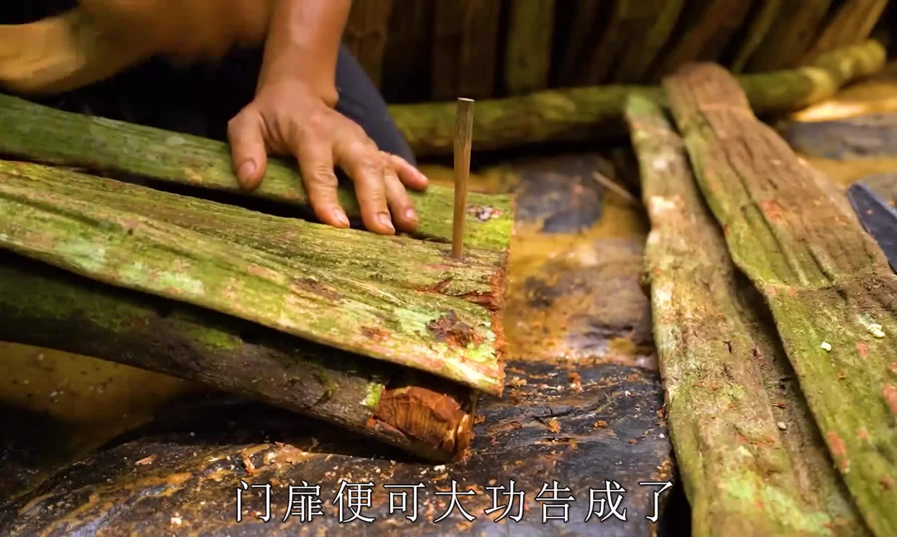 如果有天迷失荒野那这个隐藏在雨林中的庇护所一定能让你安全感满满 (3)