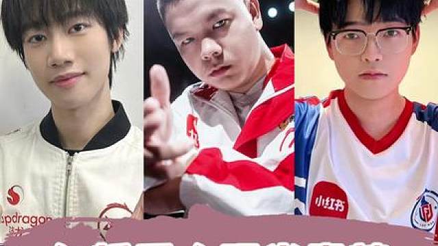 小白熊：早知道听久哲话，少走几年职业弯路