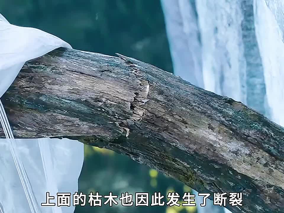 巨人正在享受着美味的野猪肉却突然听到一个女孩的求救声