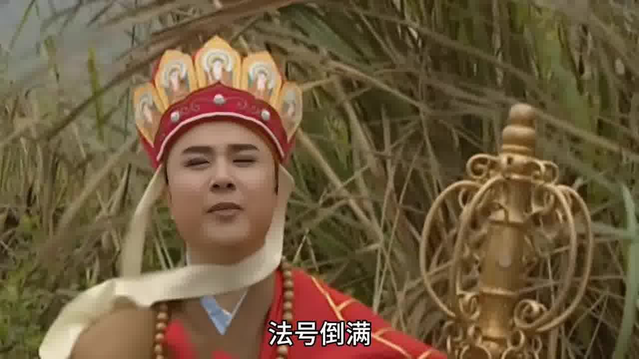 你们以后不要在约我喝酒了