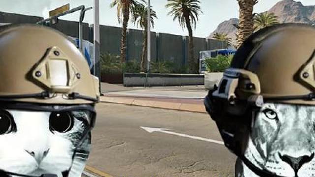 鼠兄能不能换个小点的背包