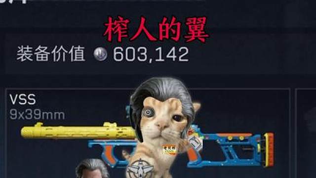 VSS太好玩了，以后再也不玩了