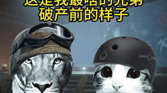 这是我最萨的兄弟破产前的样子