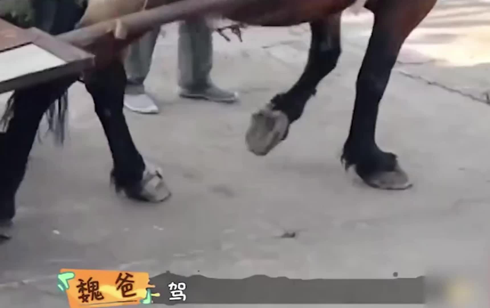 魏大勋告别北京豪宅跟着老父亲回东北老家