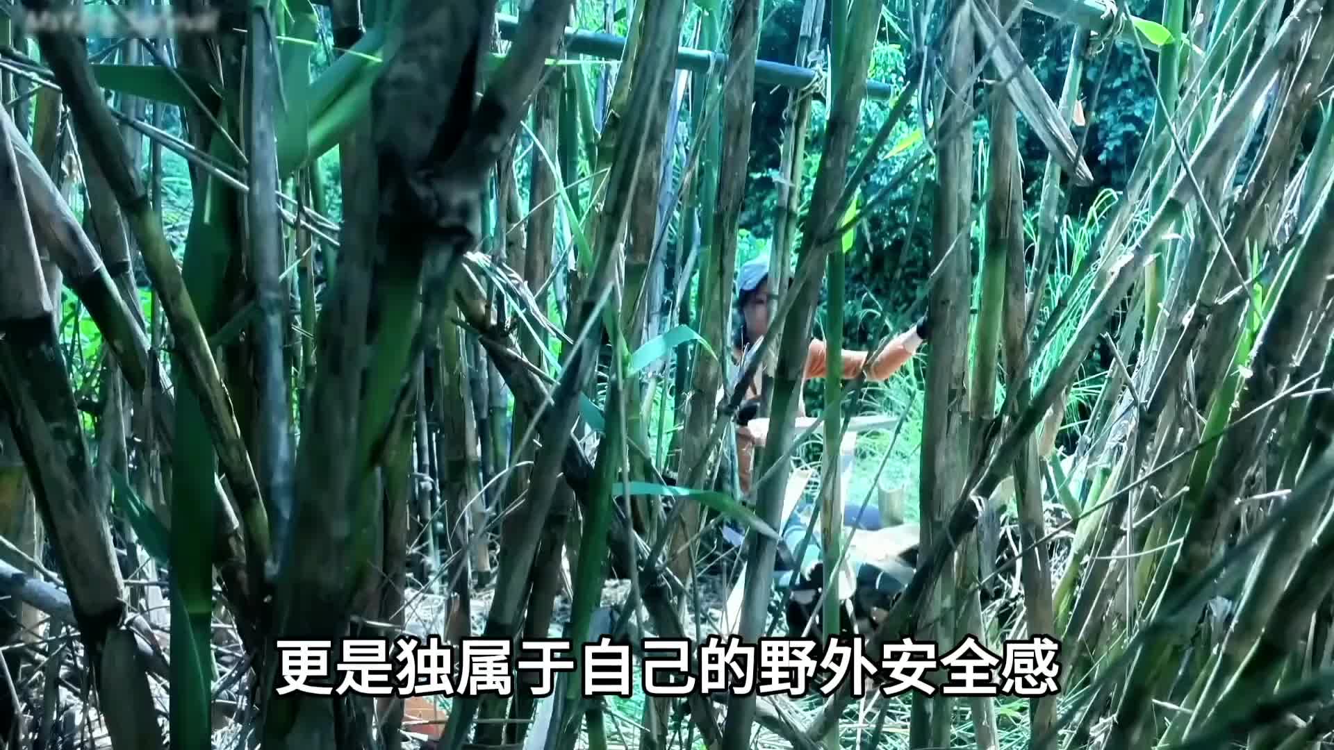 美女野外：不用在乎别人的想法，做自己就好，净化一下耳朵！