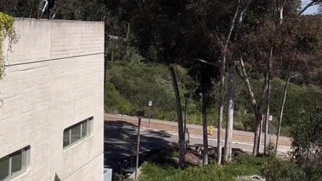 我发现我就是那种既有冲劲又喜欢沉思的人，就是那种莽撞而危险的角色。