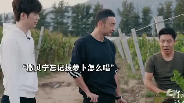 撒贝宁简直是音乐黑洞，简直笑死