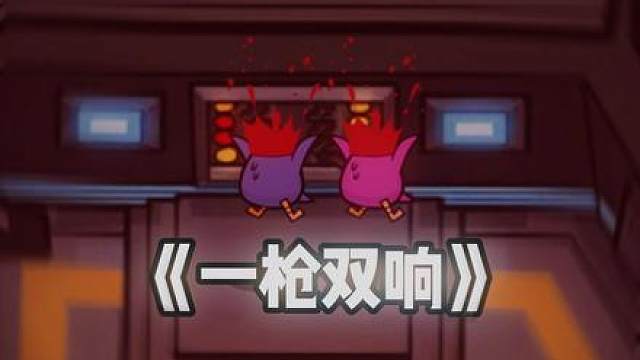 双会告诉你答案！