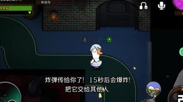 玩到真布谷鸟了！