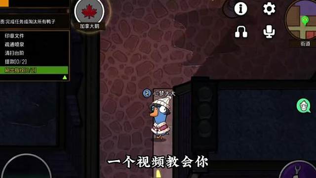 一个视频教会你加拿大鹅怎么玩