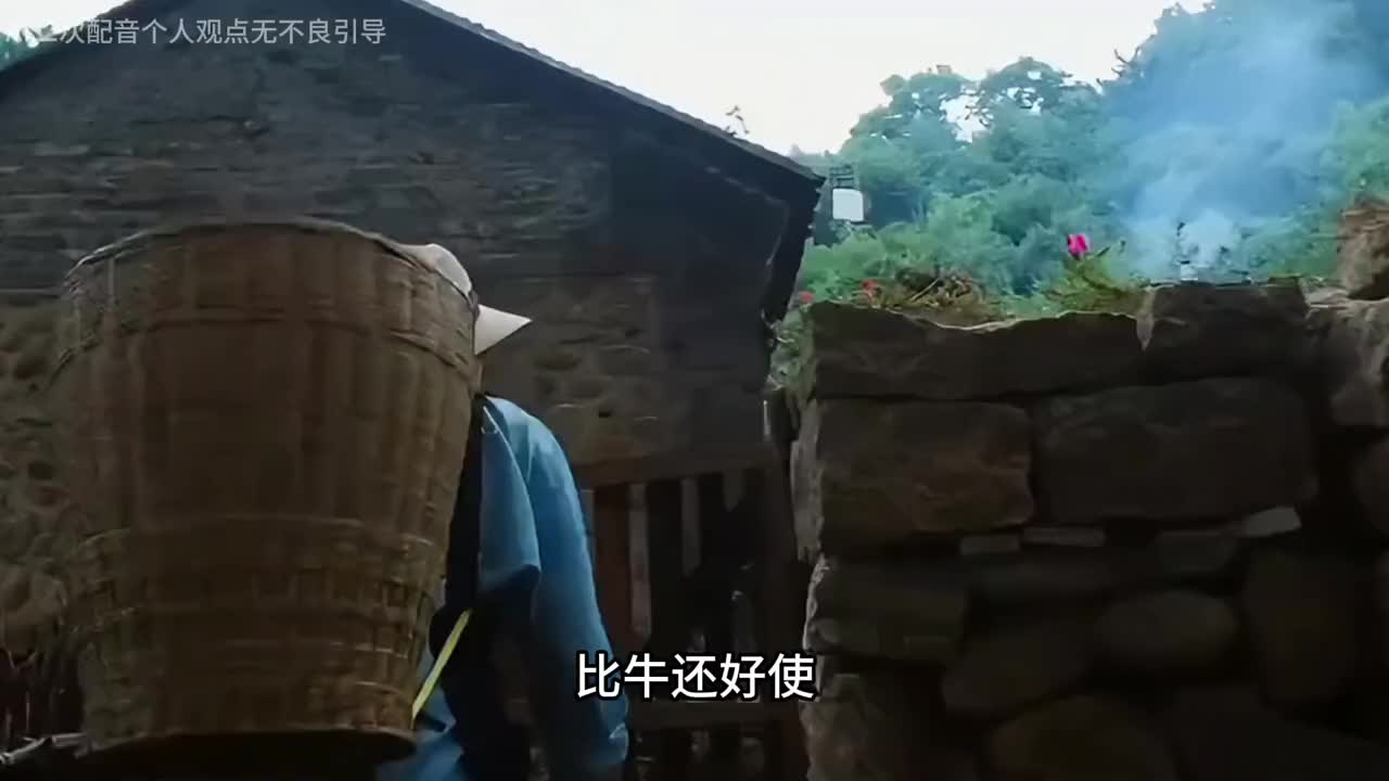 以何炅的视角打开综艺，大华因身高自卑