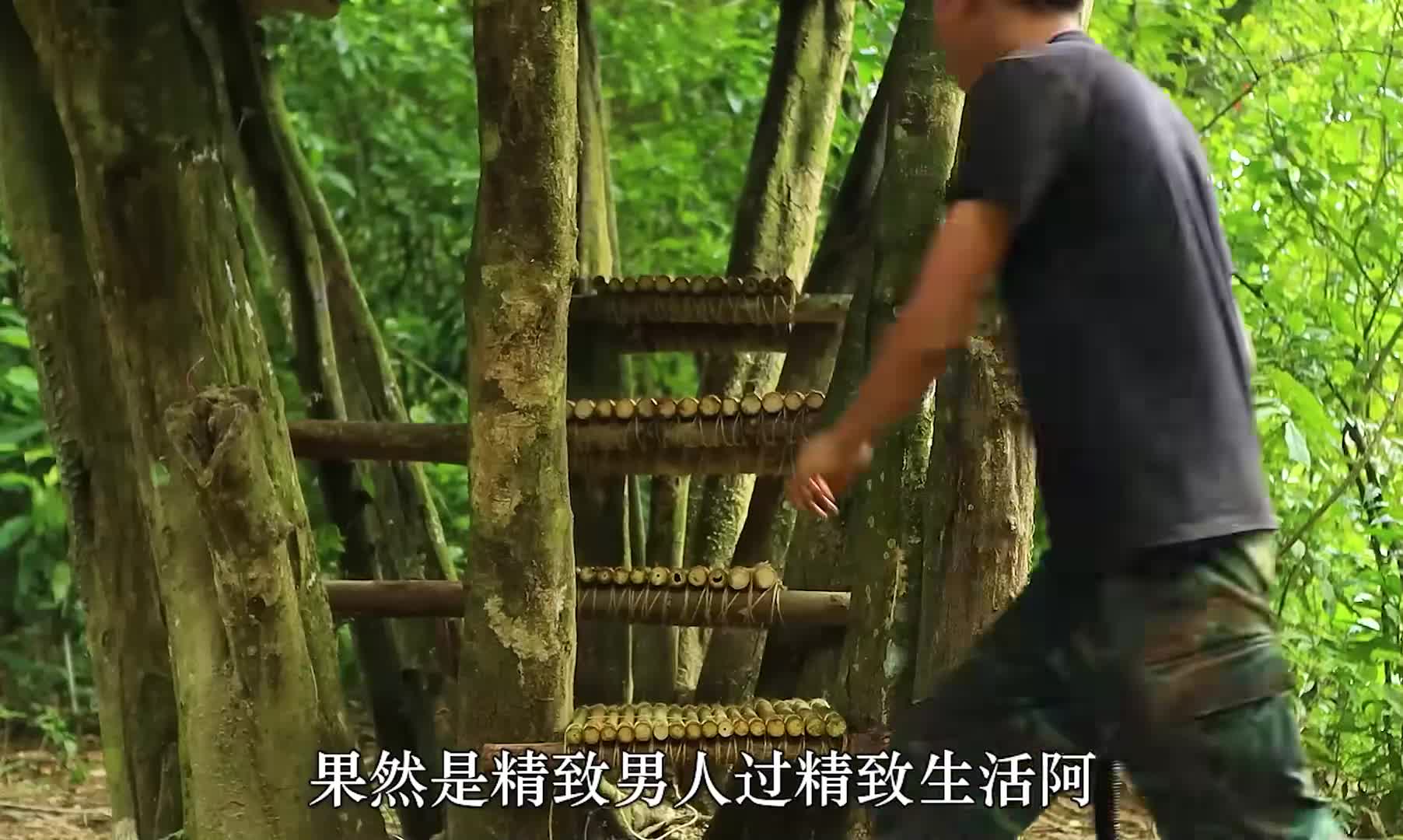 如果你在睡前刷到这条视频~那我祝你美美进入梦乡~ (3)