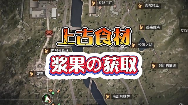 明日之后：上古食材浆果的获取途径