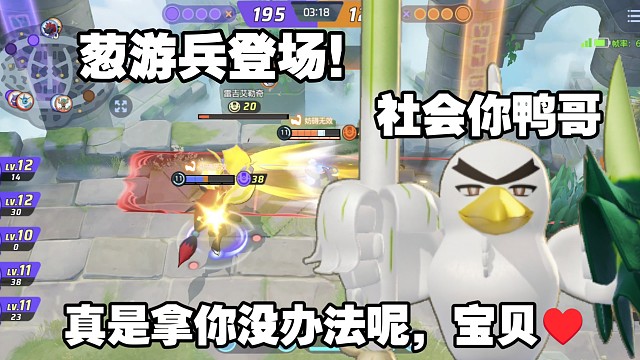 鸭哥是个传说，不要迷恋鸭哥，看看新登场的臭鸭子【国际服】