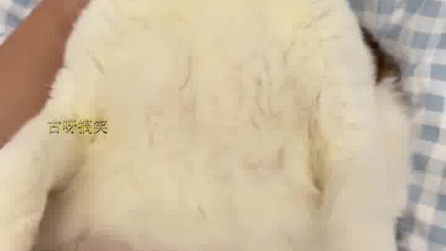 叔这个出其不意