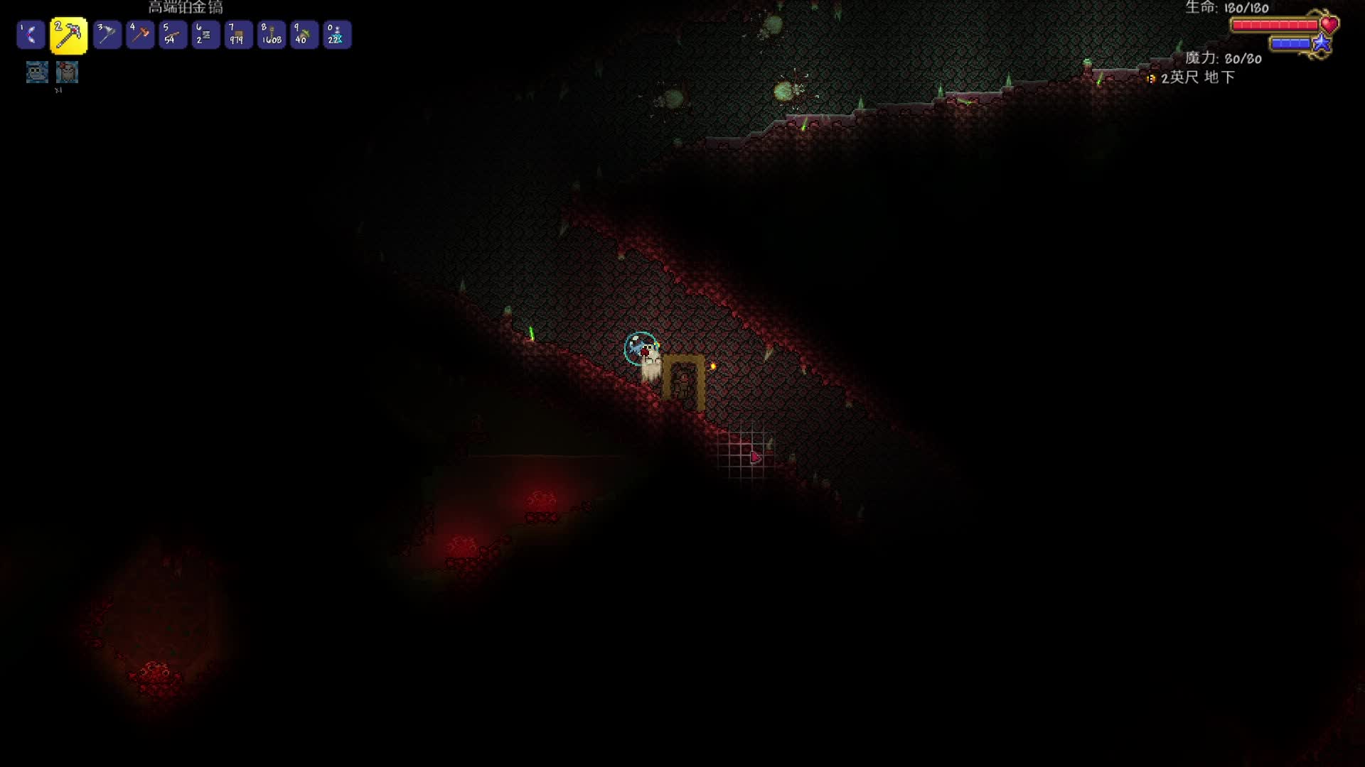 狗狗祟祟偷心脏