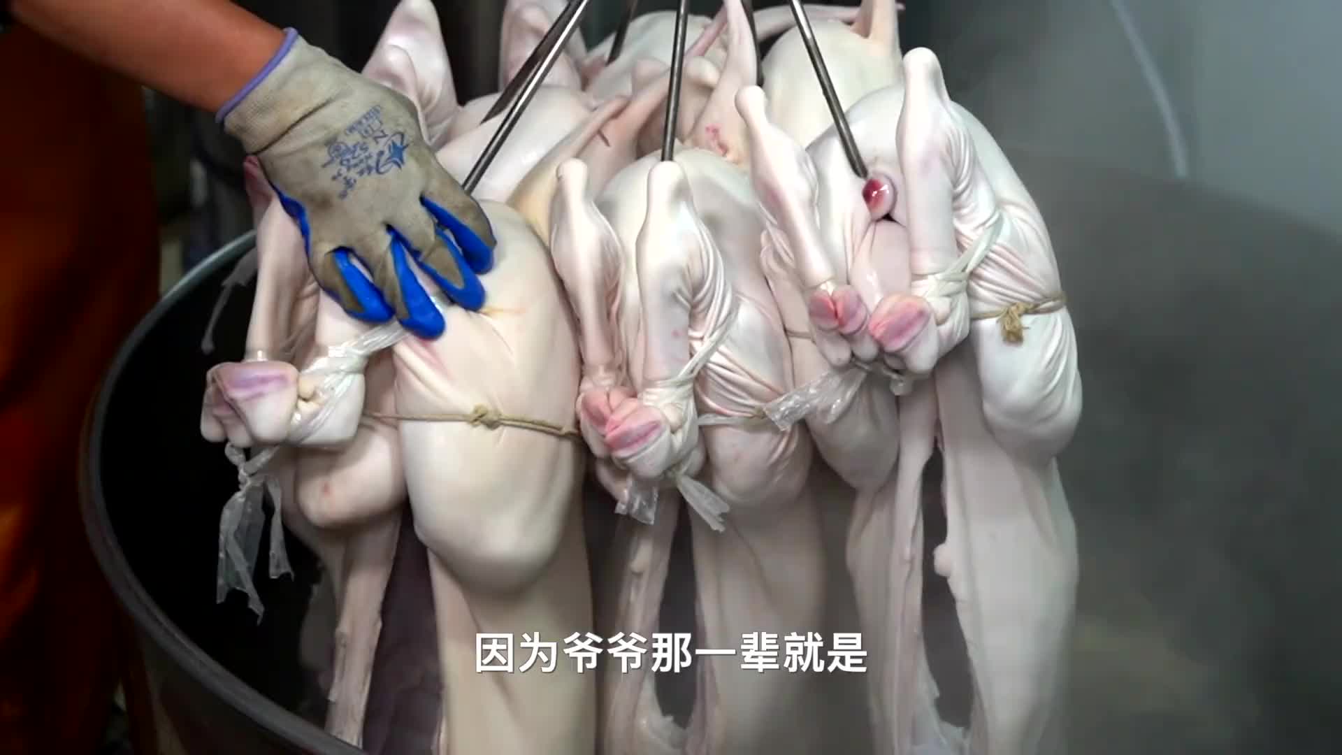 浙江千祥羊肉，5代人口口相传，过年1天卖300只，传男不传女