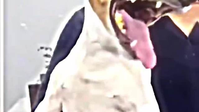 “故有神人之姿”