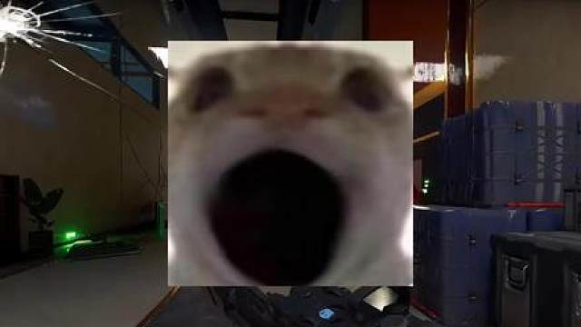 S8赛季第一天就出bug，人人都是天才少