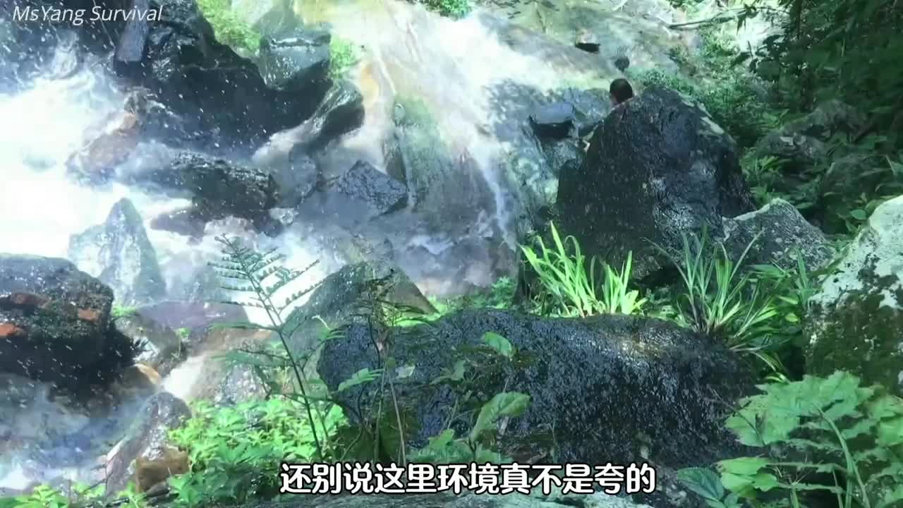 不卷不耗享受这宁静的生活。