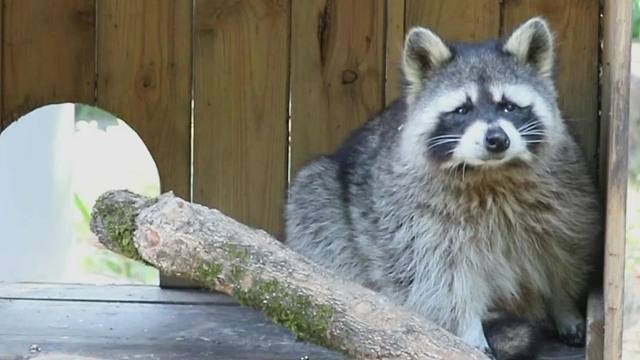 小小的脑袋，大大的疑惑