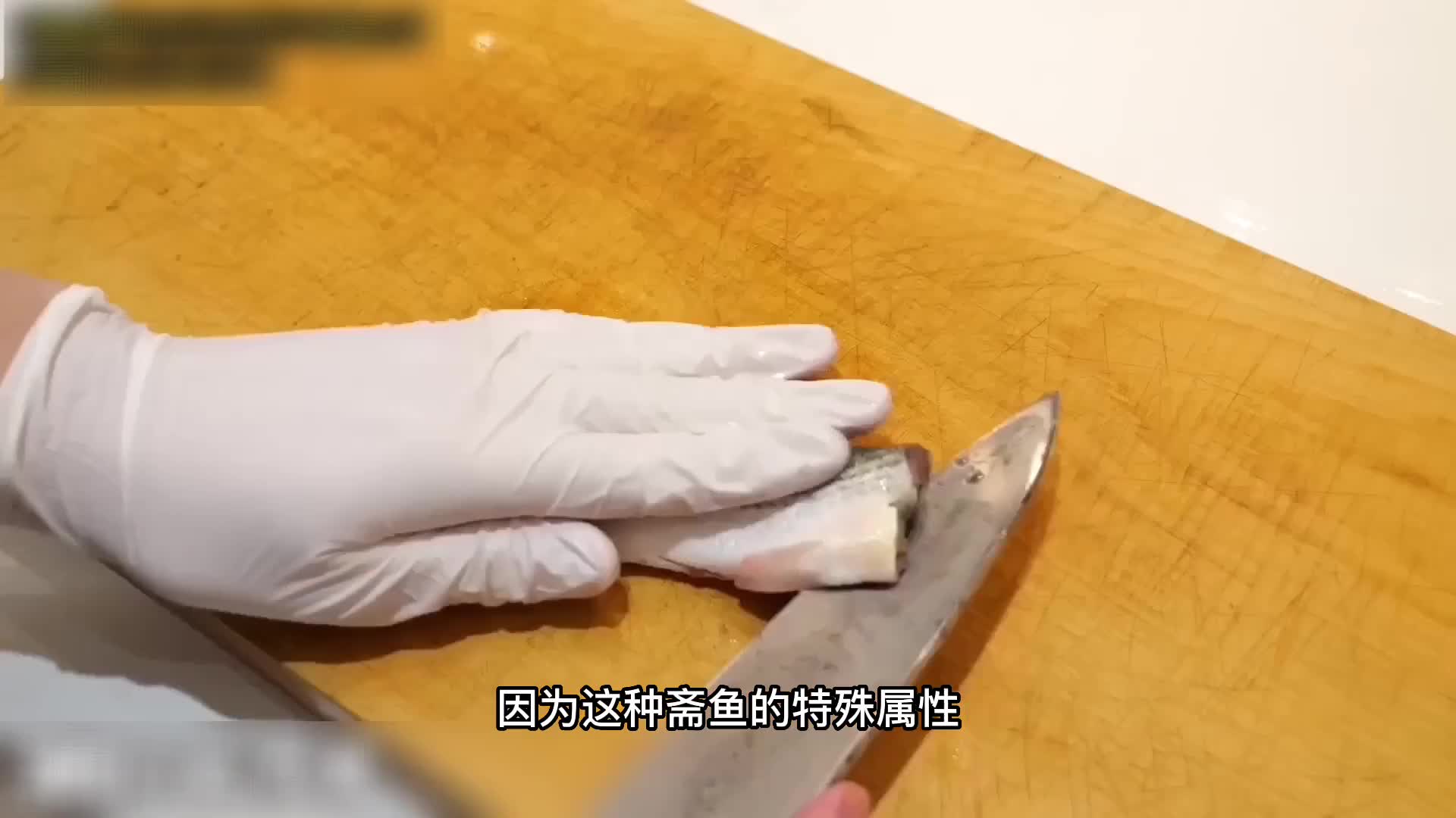 在沿海地区毫不起眼的斋鱼，做成刺身原来这么好吃！