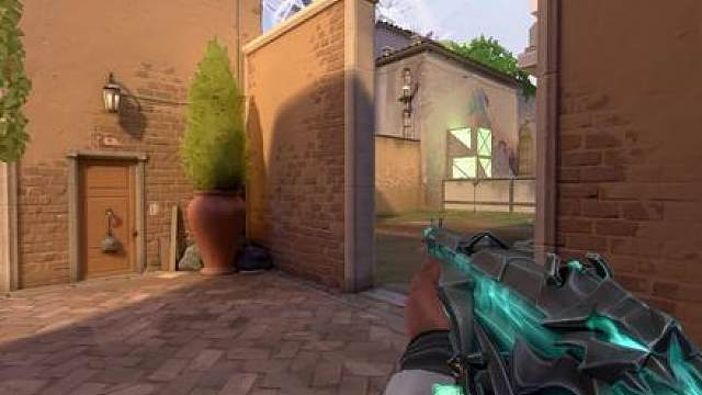 你是说亚海悬城来了个打拳的？