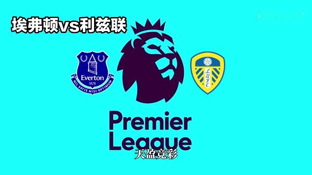 英超第23轮:埃弗顿vs利兹联