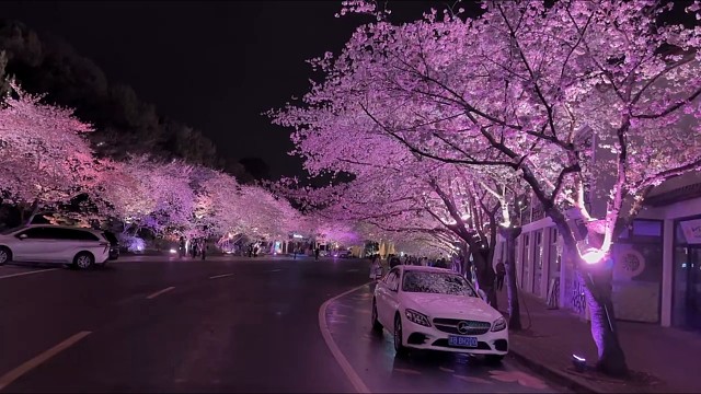 感到幸福的时候可不可以放慢倍速