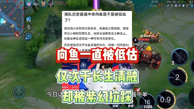 向鱼这个狼队历史最强中单是不是被低估了，仅次于长生清融的存在，却一直被一个冠军的紫幻拉踩