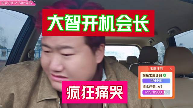 大智开机会长疯狂疼哭