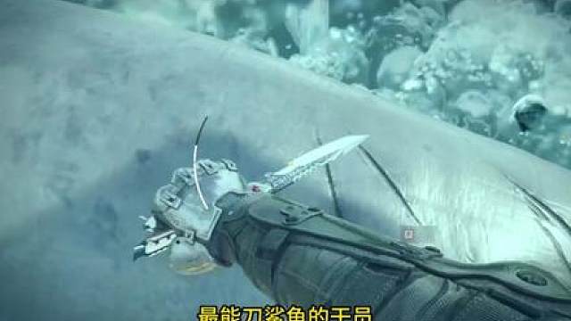 小小鲨鱼！拿下拿下