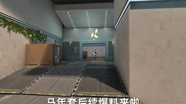 马年生肖套皮肤外观爆料！近战武器很抽象