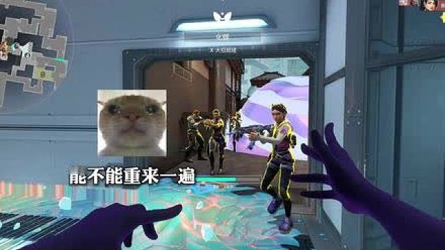 这种鼠最精了 视频里装傻 游戏里颗的比谁都快